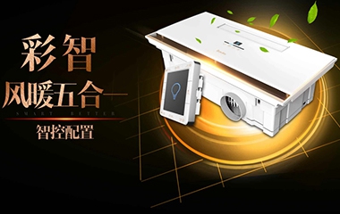 【視頻】彩智自剖書 2017巴迪斯壓軸好戲